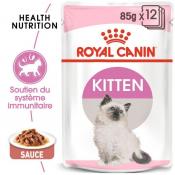 Sachet kitten rc